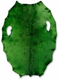 Gr�nlandss�l - Gr�s Gr�n - B