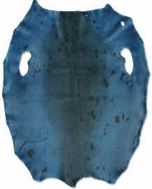 Gr�nlandss�l - Arctic Bl� - D