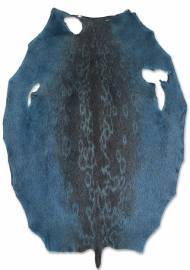 Rings�l - Arctic Blue LH - D