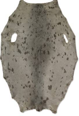 Gr�nlandss�l - Beige - D