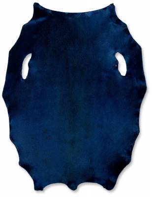 Gr�nlandss�l - Royal Blue - E/Kasserede