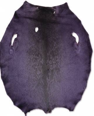Rings�l - Chinese Violet LH - C